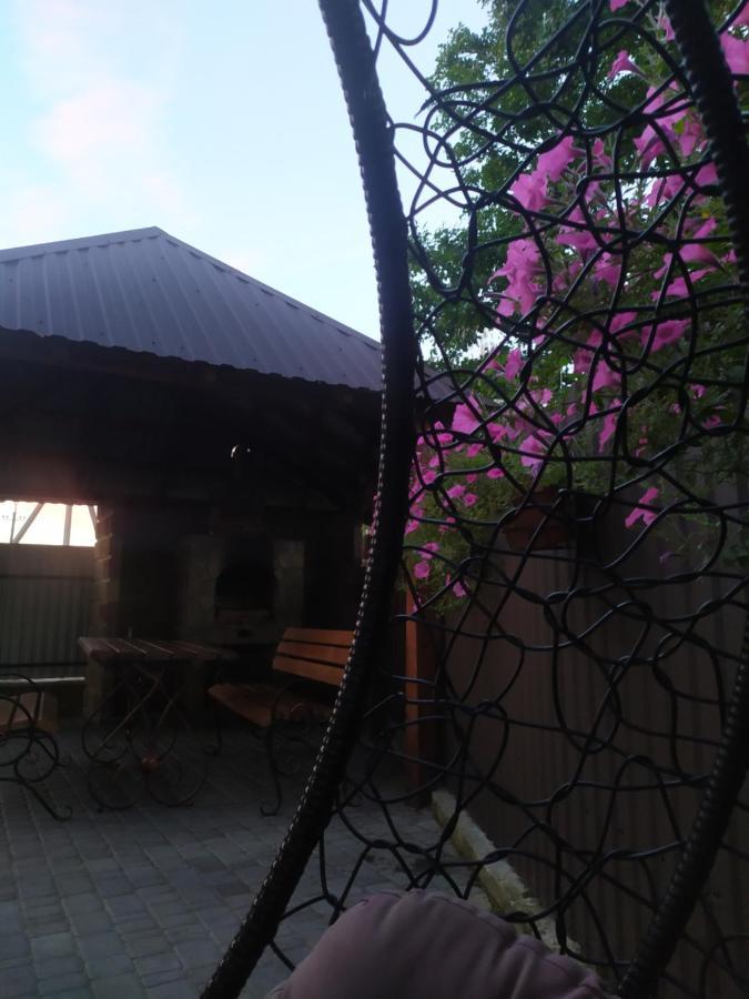 Чорний Лелека Świtaź Zewnętrze zdjęcie